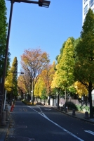 DSC_3063.jpg