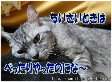 20111009-6.jpg
