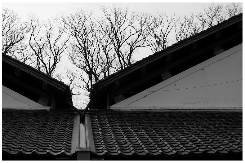 山居倉庫2