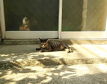 5月9日きいろ