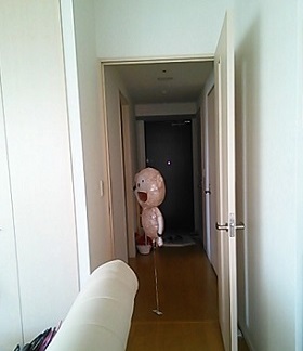 ラム君1