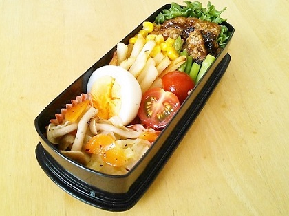 6月25日煮込みハンバーグ弁当