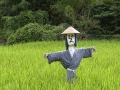 kakasi-022.jpg