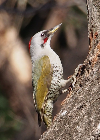 20120306e.jpg
