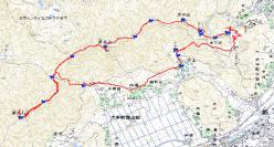 20130226a.jpg