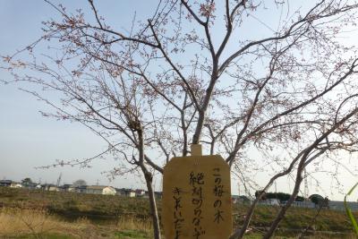 20130322f.jpg