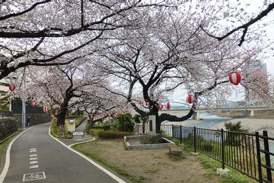 20130329e.jpg