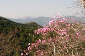 20130409d.jpg