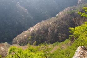 20130409e.jpg