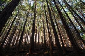 20130409g.jpg