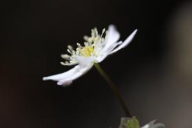 20130409h.jpg