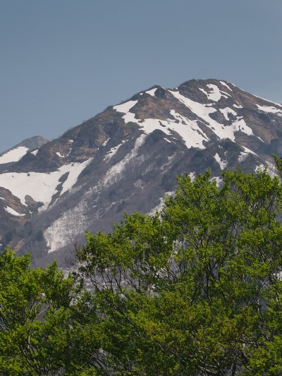 20130514e.jpg