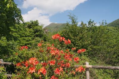 20130531f.jpg