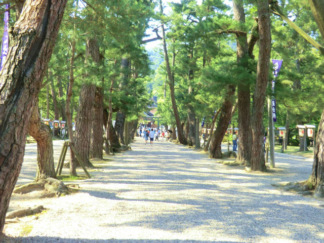 25051421.jpg