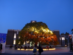 20131125.jpg