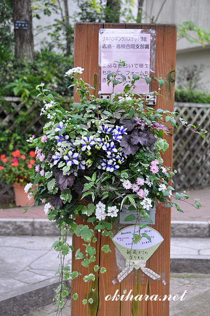 DSC_9199.jpg