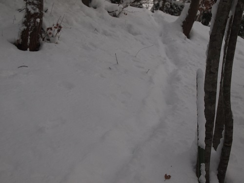 asiato131216.jpg