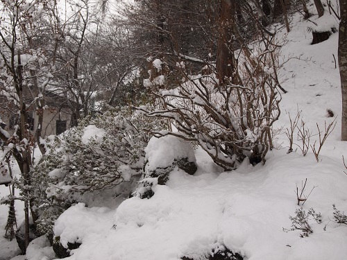 houninn131224.jpg