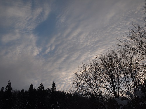 kumo131216.jpg