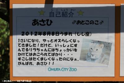 パネル
