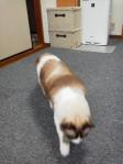 2012110510410000.jpg