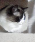 2013022023370000.jpg