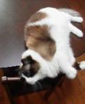2013030707590000.jpg