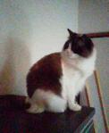 2013031708300002.jpg