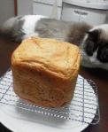 2013031721380000.jpg