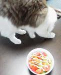 2013032410030000.jpg