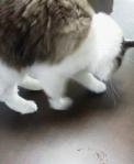 2013032410030001.jpg