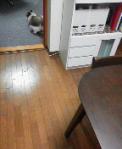 2013033119350000.jpg