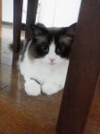 2013040923430000.jpg