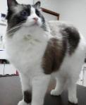2013042219140000.jpg