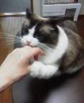 2013051508170002.jpg