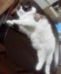 2013051616500000.jpg