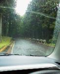 2013052011380000.jpg