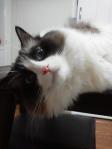 2013052307540000.jpg