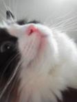 2013052307550002.jpg