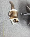 2013052618100000.jpg
