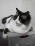 2013060422430000.jpg