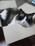 2013061620130000.jpg