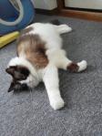 2013062707280000.jpg