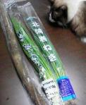2013072120040000.jpg