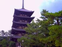 PICT0014.jpg