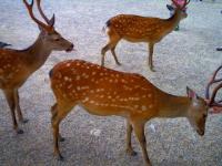 PICT0019.jpg