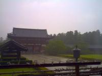 PICT0082.jpg