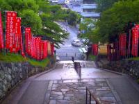 PICT0095.jpg