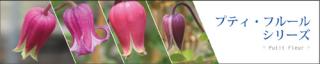putit-Fleur.jpg