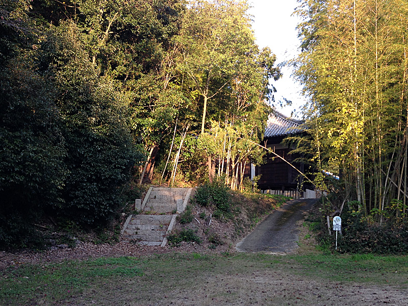 IMG_7146.jpg